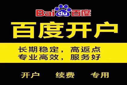 百度竞价托管：案例中的优化策略